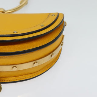 Chloe Nile Crossbody Bag Leather