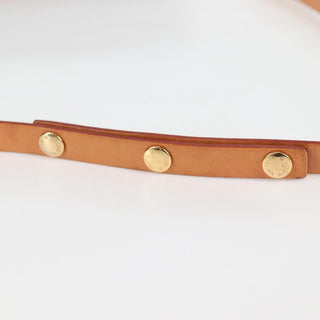 Louis Vuitton Florentine Waist Bag Monogram Canvas