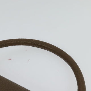 Celine Trapeze Bag Leather