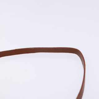 Louis Vuitton Papillon Pochette Monogram Canvas