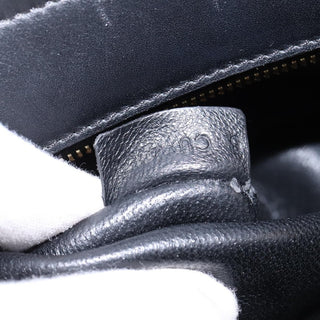 Celine Trapeze Bag Canvas with Leather