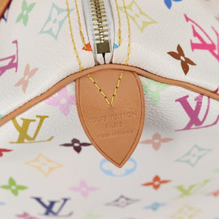 Louis Vuitton Speedy Handbag Monogram Multicolor