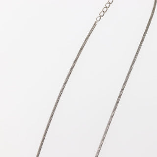 Christian Dior Logo Necklace Metal