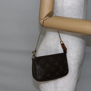 Louis Vuitton Pochette Accessoires Monogram Canvas