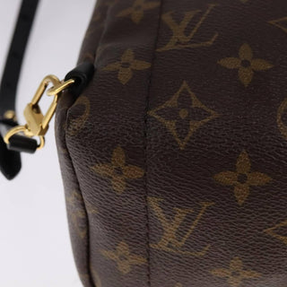 Louis Vuitton Palm Springs Backpack Monogram Canvas