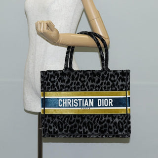 Christian Dior Book Tote Mizza Embroidered Canvas and Velvet