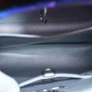 Louis Vuitton Capucines Bag Leather with Resin