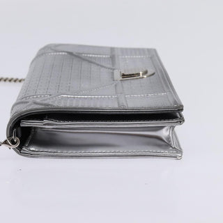 Christian Dior Diorama Wallet on Chain Metallic Distressed Calfskin