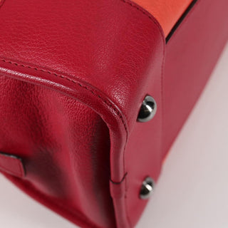 Loewe Amazona Bag Leather