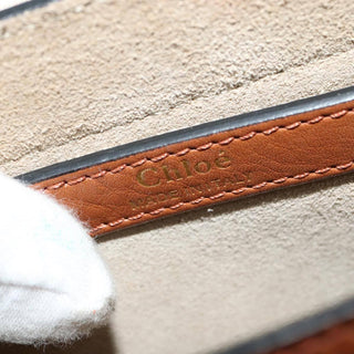 Chloe Multicolor Fringe Hudson Bag Leather