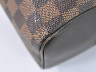 Louis Vuitton Brera Handbag Damier