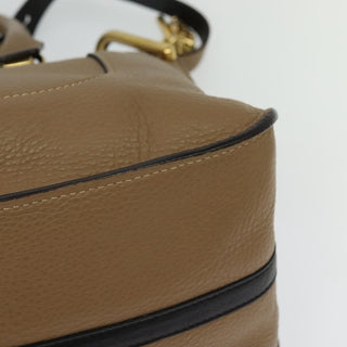 Chloe Hailey Bag Leather
