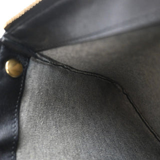 Celine Trio Crossbody Bag Leather