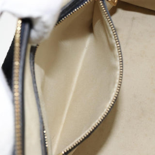 Louis Vuitton Josephine Handbag Mini Lin