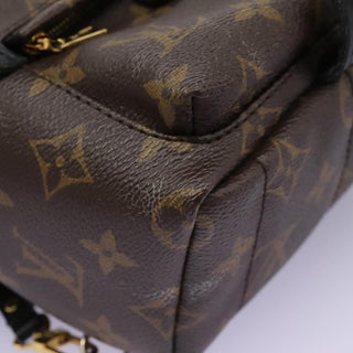 Louis Vuitton Palm Springs Backpack Monogram Canvas