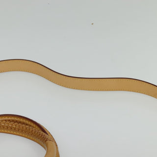 Louis Vuitton Riviera Handbag Damier