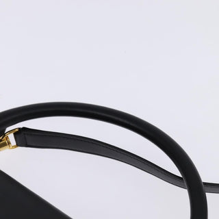 Celine Trapeze Bag Canvas with Leather