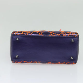 Christian Dior Lady Dior Bag Anselm Reyle Cannage Quilt Leather