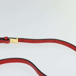 Loewe Barcelona Shoulder Bag Leather