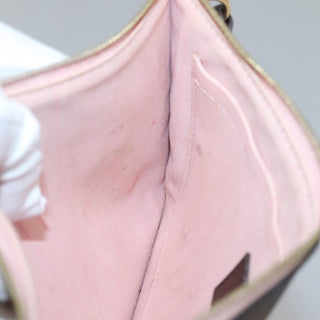 Louis Vuitton Neverfull Pochette Damier