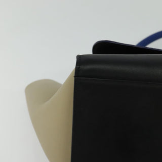 Celine Trapeze Bag Leather