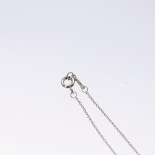 Tiffany & Co. Paloma Picasso Loving Heart Pendant Necklace Silver 925