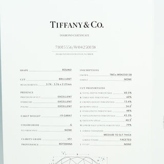 Tiffany & Co. Elsa Peretti Diamonds By The Yard Platinum with Diamond