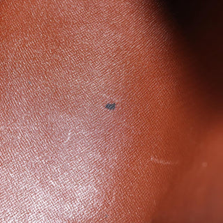 Louis Vuitton Papillon Handbag Monogram Canvas