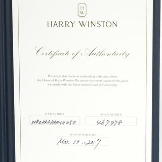 Harry Winston Micropave Pendant Necklace Platinum / diamond