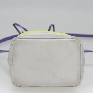 Louis Vuitton NeoNoe Handbag Epi Leather