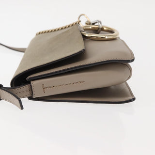 Chloe Faye Shoulder Bag Leather and Suede