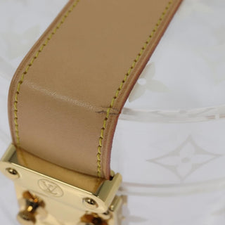 Louis Vuitton Box Scott Trunk Monogram Plexiglass