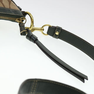 Coach Bag Sling