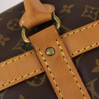 Louis Vuitton Dog Carrier Bag Monogram Canvas