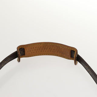 Louis Vuitton Amazone Bag Monogram Canvas