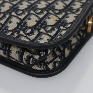 Christian Dior Diorquake Clutch Oblique Canvas
