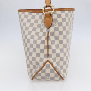 Louis Vuitton Delightful NM Handbag Damier