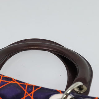 Christian Dior Lady Dior Bag Anselm Reyle Cannage Quilt Leather