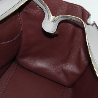 Celine Trapeze Bag Suede