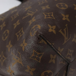 Louis Vuitton Flower Hobo Monogram Canvas with Leather