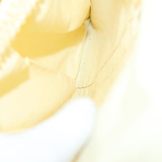 Louis Vuitton Dog Carrier Bag Monogram Canvas