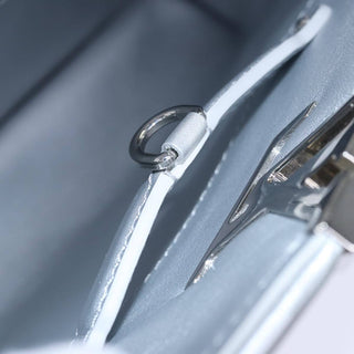 Louis Vuitton Capucines Bag Leather with Resin