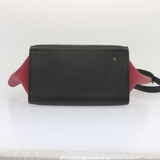 Celine Trapeze Bag Leather with Suede