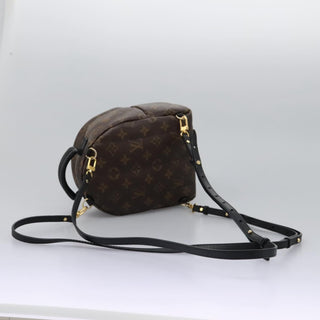 Louis Vuitton Palm Springs Backpack Monogram Canvas