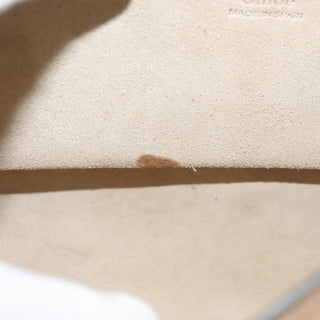 Chloe Faye Clutch Leather and Suede