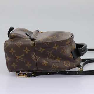 Louis Vuitton Palm Springs Backpack Monogram Canvas