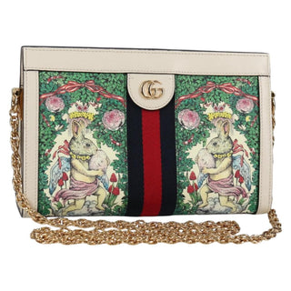 Gucci Ophidia Chain Shoulder Bag Flora GG Coated Canvas