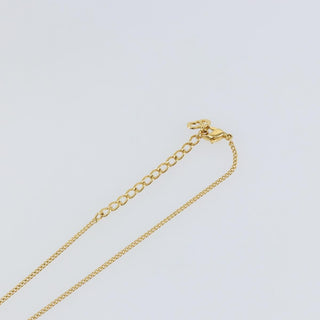 Christian Dior CD Heart Necklace Metal