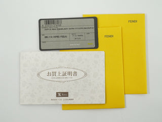 Fendi Chameleon Satchel Leather