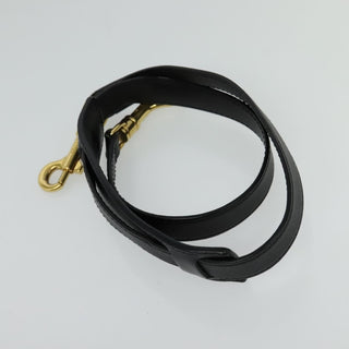 Celine Trapeze Bag Leather with Suede